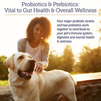 Rx Vitamins, Rx Biotic, For Dogs & Cats, 2.12 oz (60.10 g) UPC 708429184249 | Hilife Vitamins