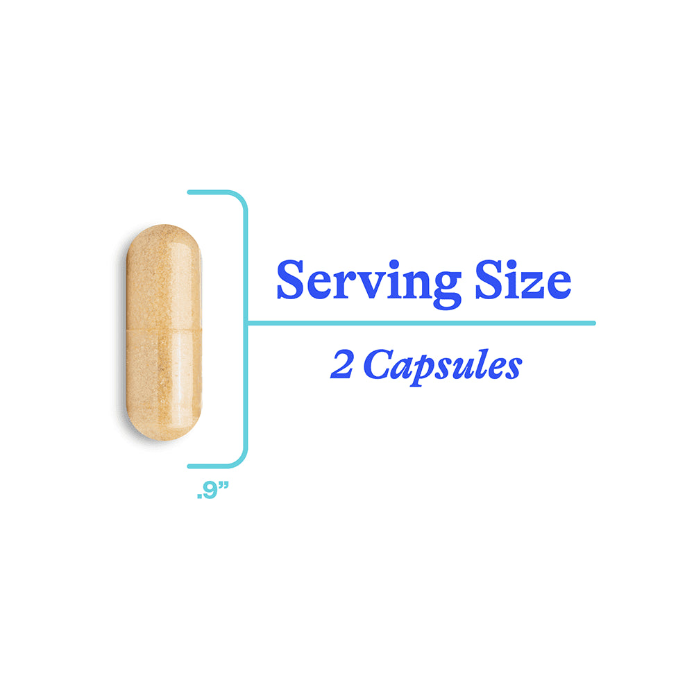 Seeking Health, Histamine Nutrients, (Formerly Histamine Block Plus), 60 Capsules UPC 810007521589 | Hilife Vitamins