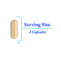 Seeking Health, Histamine Nutrients, (Formerly Histamine Block Plus), 60 Capsules UPC 810007521589 | Hilife Vitamins