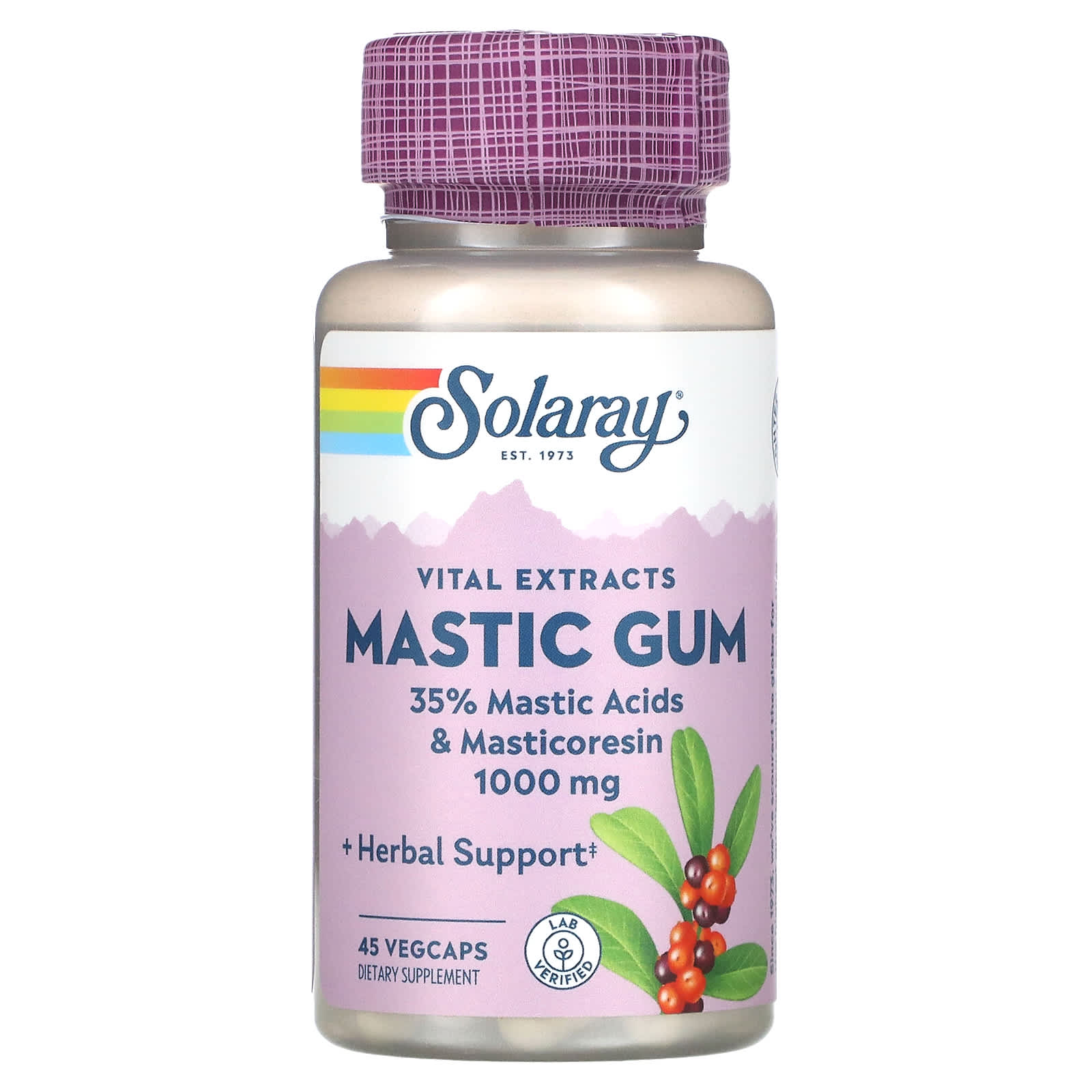 Solaray, Mastic Gum Extract 500 mg, 45 VegCaps UPC 076280036886 | HiLife Vitamins