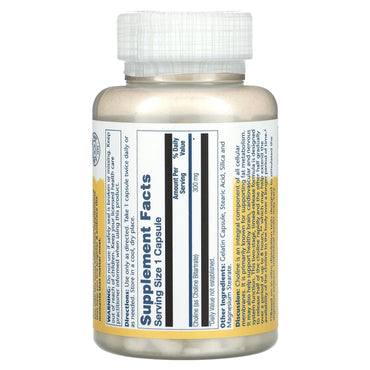 Solaray, Timed Release, Choline, 300 mg, 100 Capsules UPC 076280043570 | HiLife Vitamins