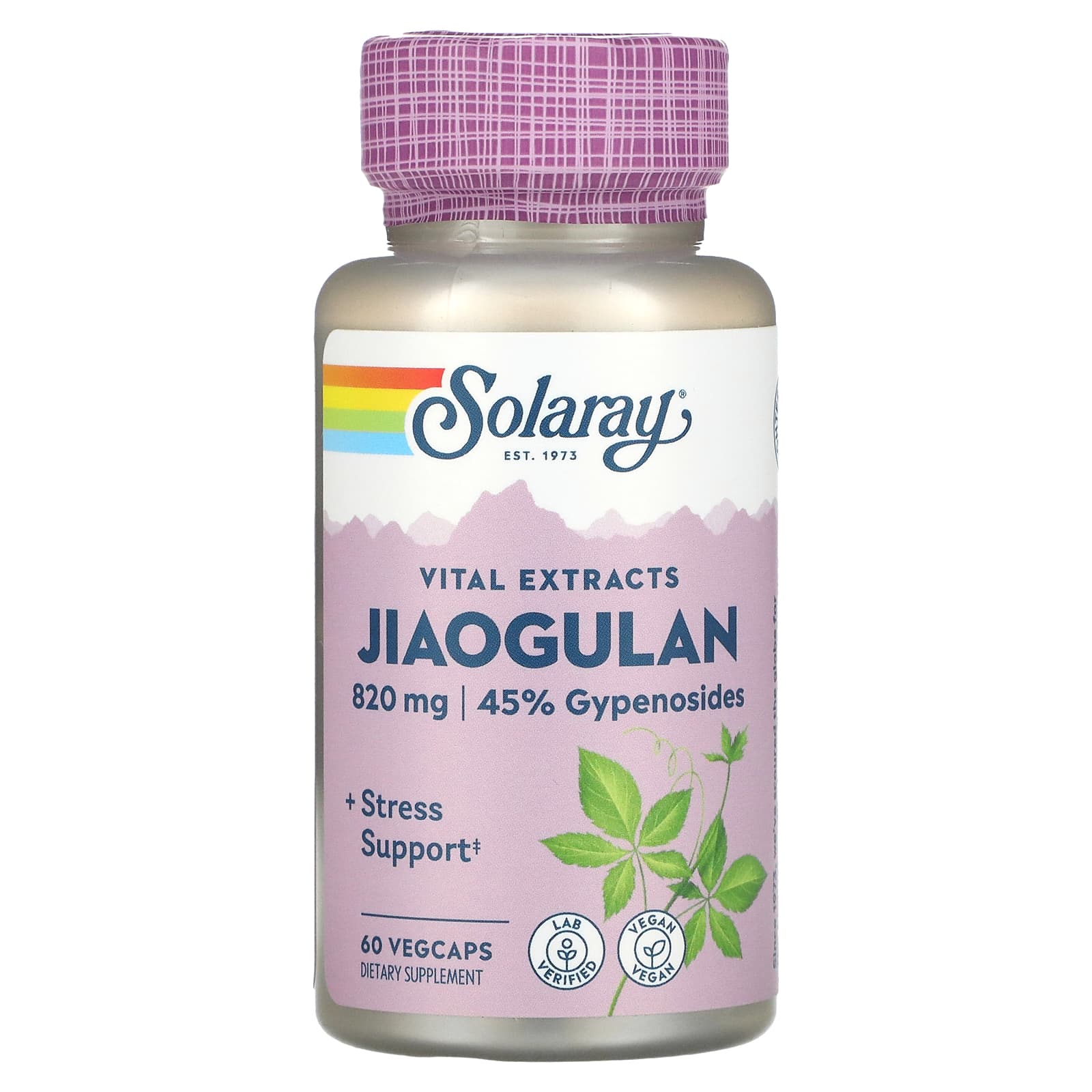 Solaray, Jiaogulan Extract 410mg, 60 VegCaps UPC 076280366730 | HiLife Vitamins