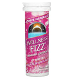 Source Naturals, Wellness Fizz Berry, 10 Wafers - 021078020516 | Hilife Vitamins