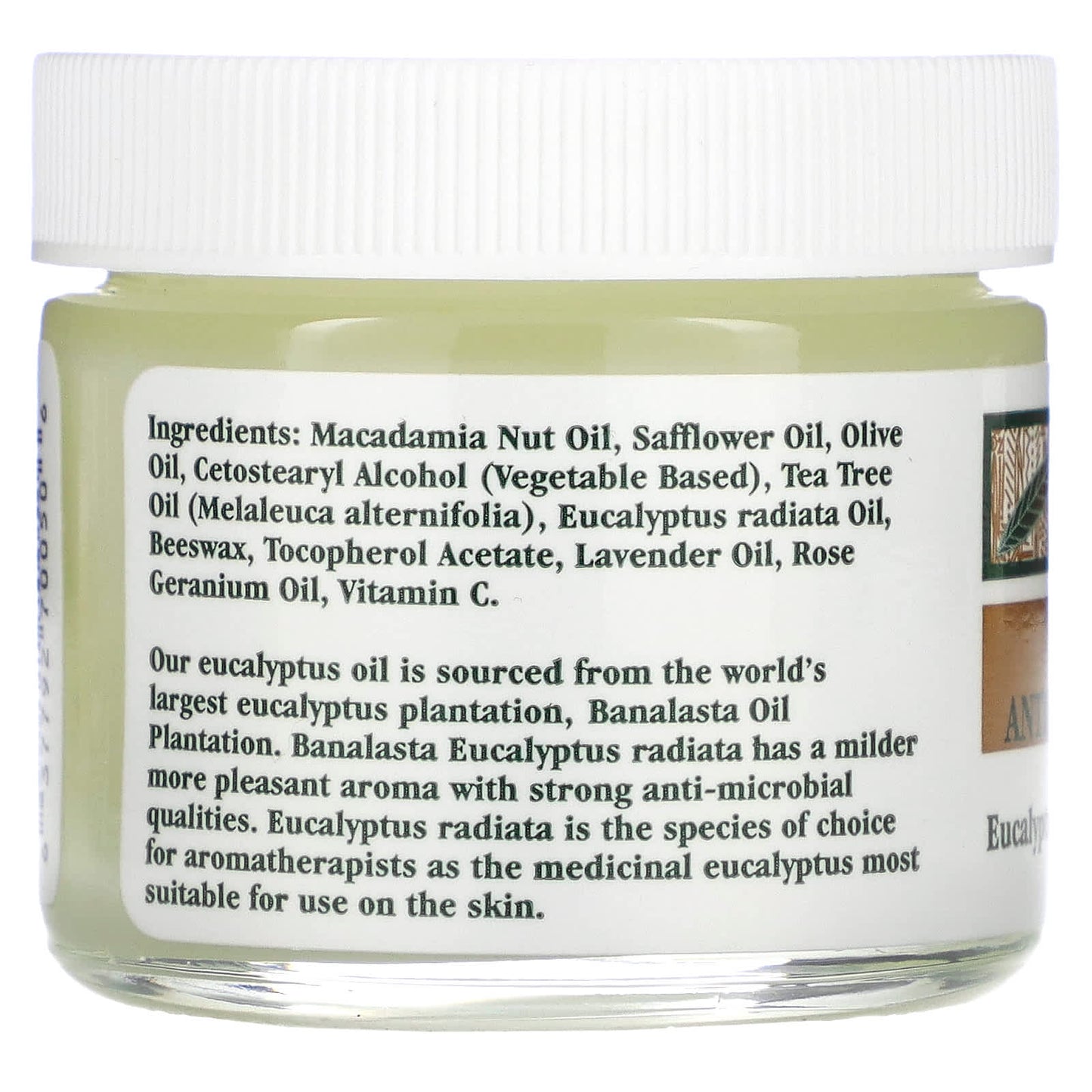 Tea Tree Therapy, Tea Tree Antiseptic Ointment Eucalyptus Radiata & Lavender Oil, 2 Oz UPC 637792700506 | Hilife Vitamins