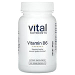 Vital Nutrients, Vitamin B6, 100 Vegan Capsules UPC 693465513118 | HiLife Vitamins