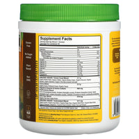 Amazing Grass, Greens Blend, Superfood, Chocolate, 8.5 Oz UPC 829835933006 | HiLife Vitamins