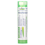 Boiron, Rhin Allergy Kids Pellets 2 Tubes, 240 Pellets - [product_sku] | HiLife Vitamins