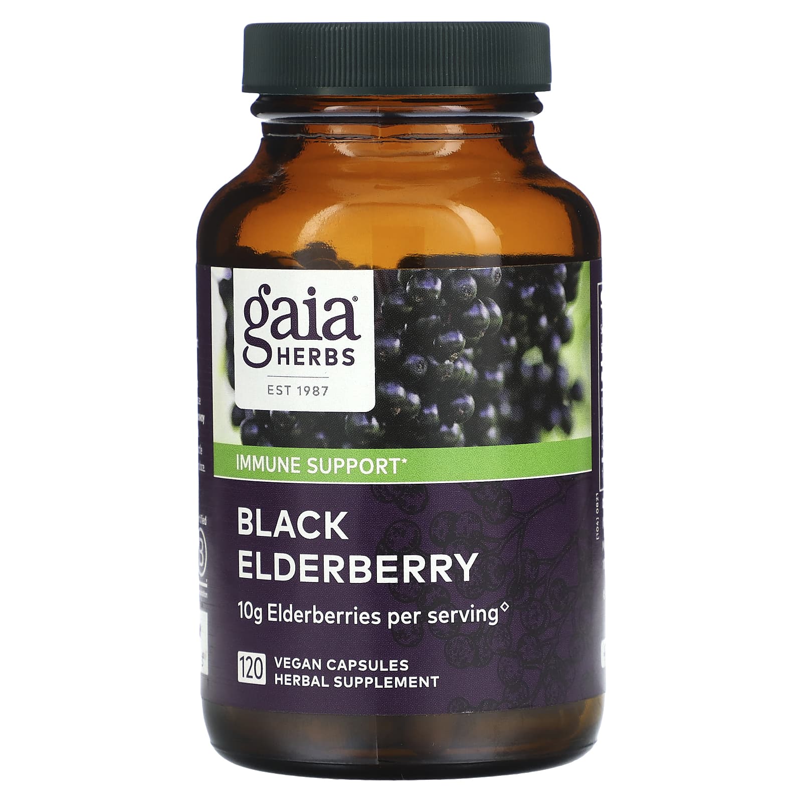 Gaia Herbs, Black Elderberry, 120 Capsules UPC 751063150613 | HiLife Vitamins