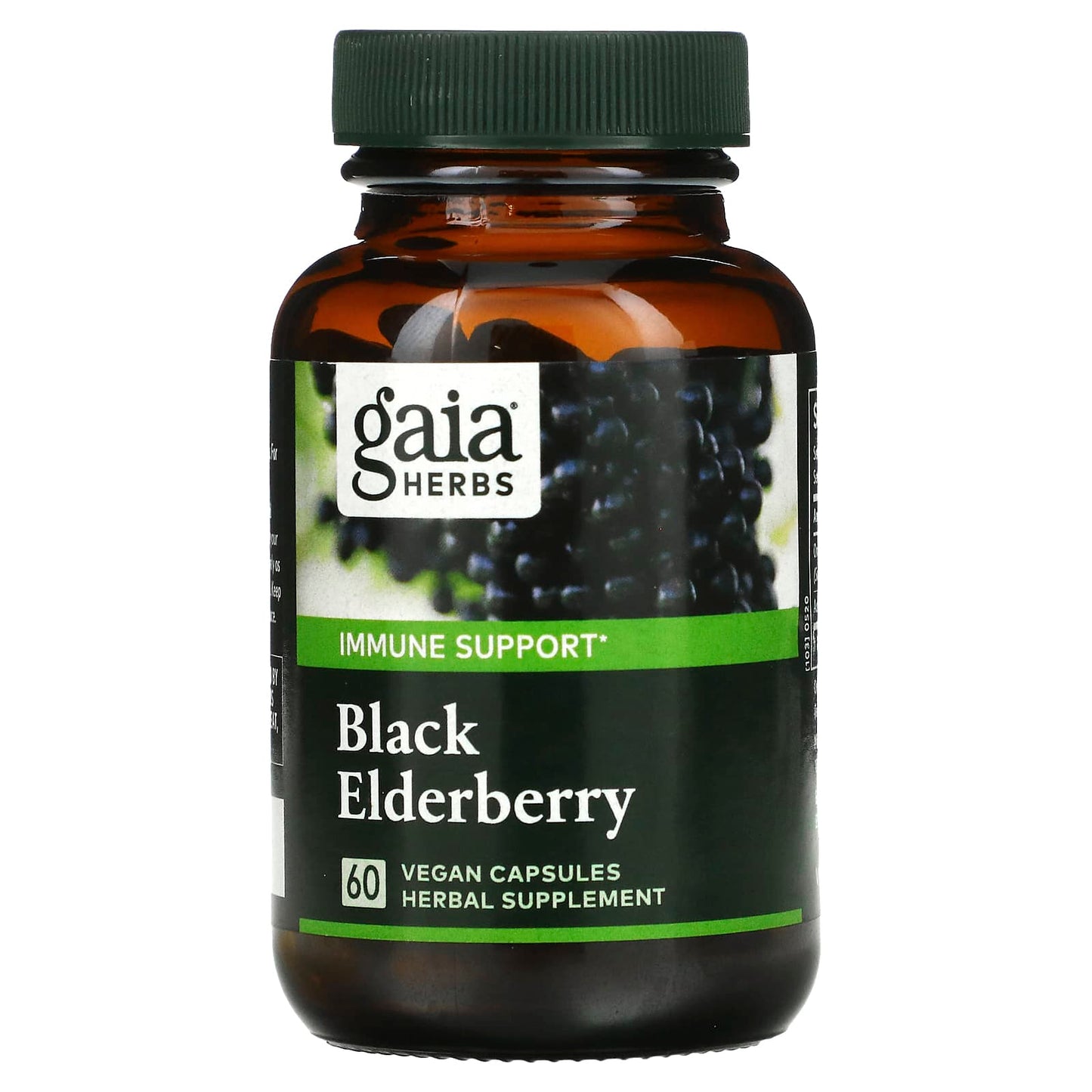 Gaia Herbs, Black Elderberry with Acerola Fruit, 60 Vegan Liquid Phyto-Caps UPC 751063400602 | HiLife Vitamins
