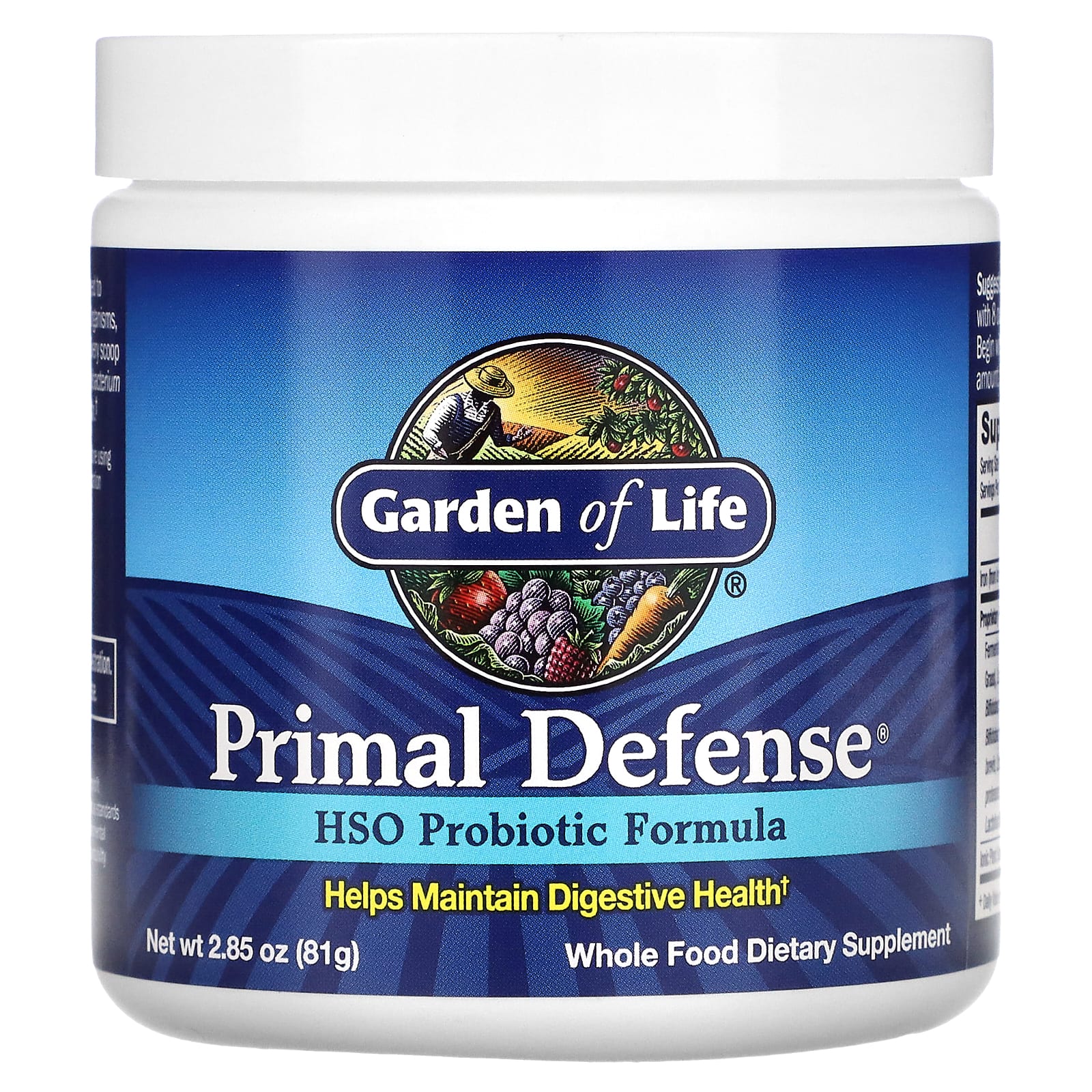 Garden of Life, Primal Defense Powder, 2.85 oz UPC 658010111256 | HiLife Vitamins