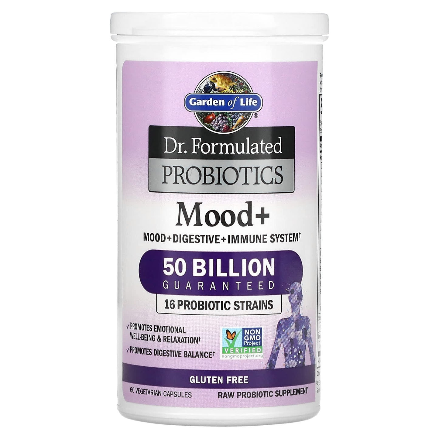 Garden of Life, Dr. Formulated Probiotics Mood+ Shelf Stable, 60 Capsules UPC 658010120043 | HiLife Vitamins
