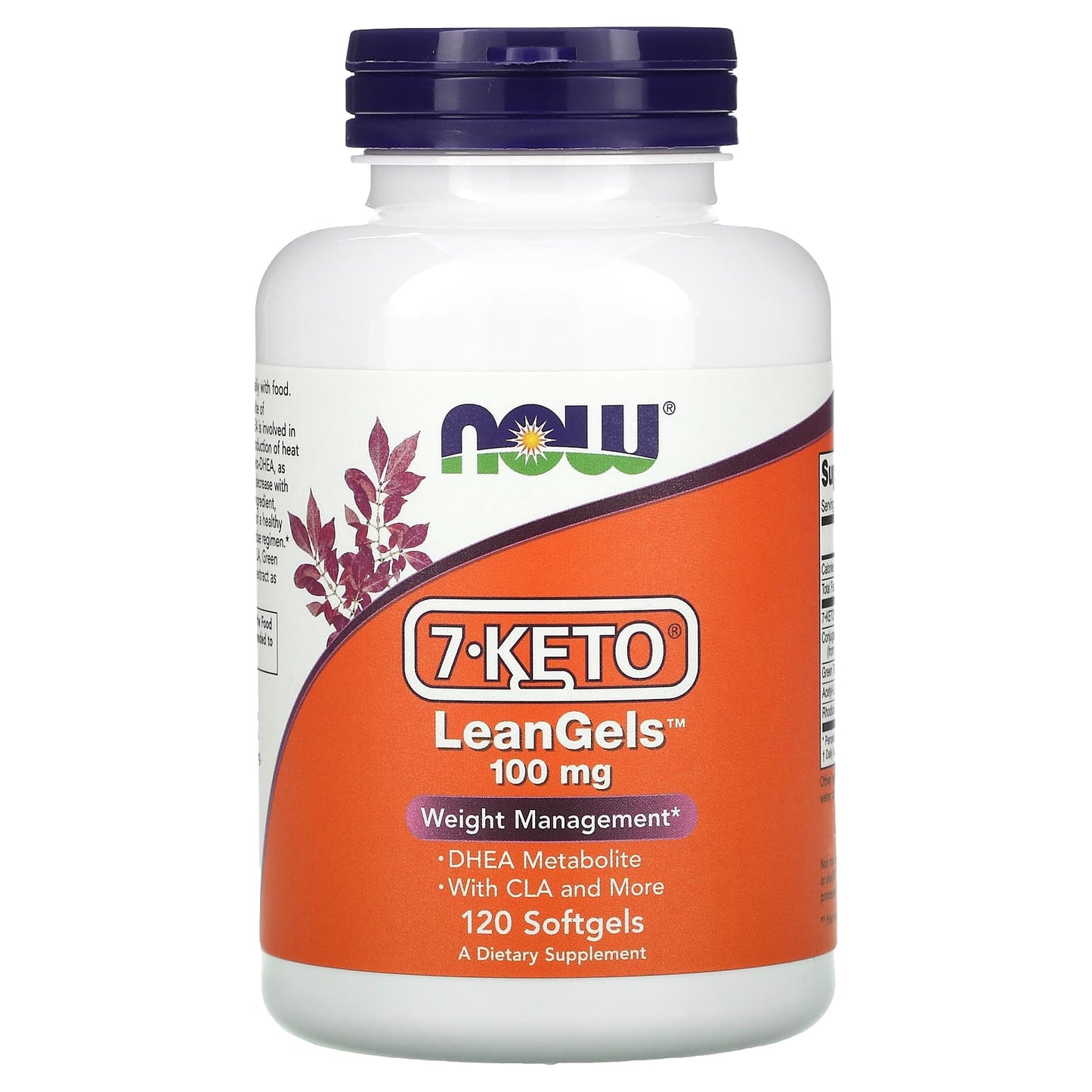 Now Foods, 7-KETO 100MG LEANGELS, 120 Softgels UPC 733739030245 | HiLife Vitamins