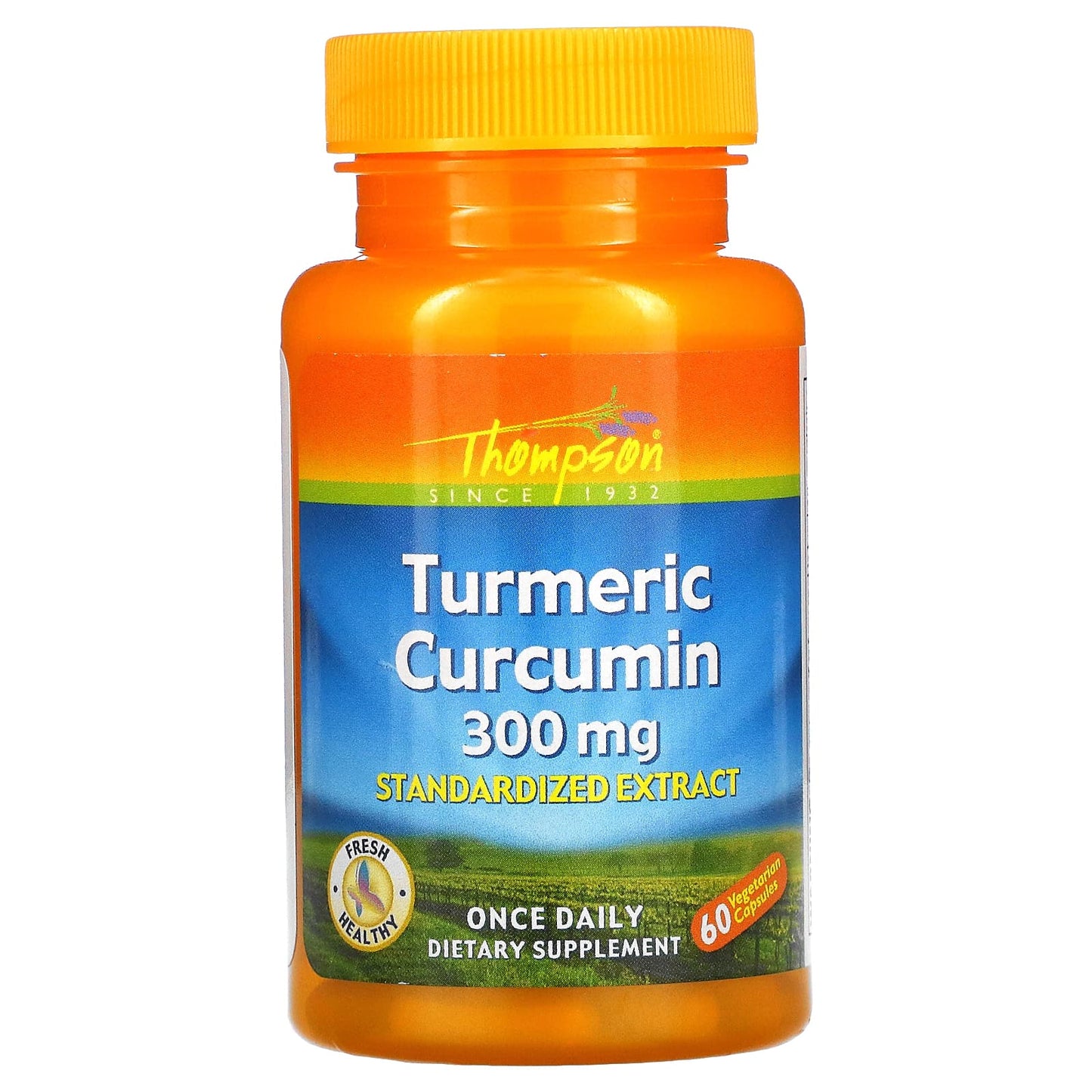 Thompson, Turmeric Extract 300mg, 60 Capsules UPC 031315196669 | HiLife Vitamins